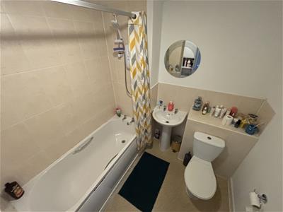 Picture 7